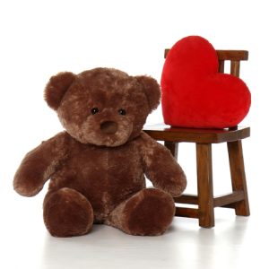 Teddy bear delivery Hanoi Vietnam