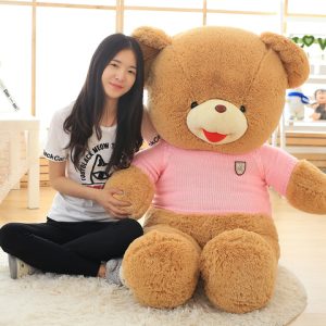 Sweet Teddy Bears in Hanoi city