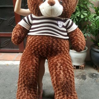 Giant Teddy Bear in Hanoi