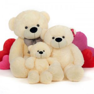 Send Teddy Bear Family to Hanoi Vietnam