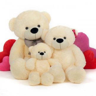 Send Teddy Bear Family to Hanoi Vietnam