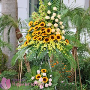 Hanoi congratulation flowers online
