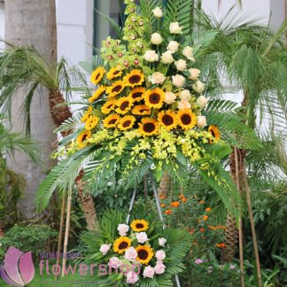 Hanoi congratulation flowers online