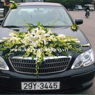 XH009-Wedding Flower Car