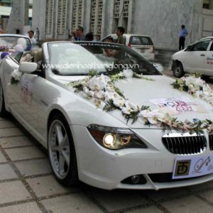 XH016-Wedding Flower Car