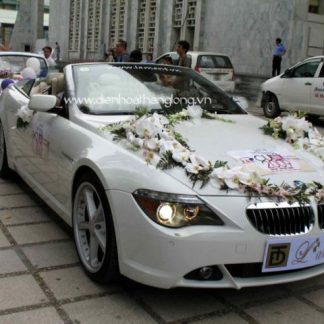 XH016-Wedding Flower Car