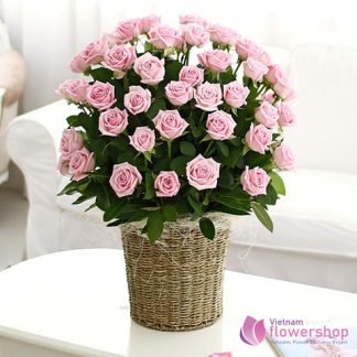 Order romantic roses to girlfriend in Vietnam