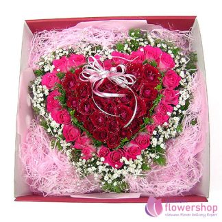 Vietnam Boxed of purple roses