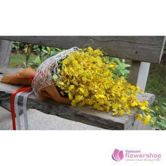 Vietnam Yellow orchids flower to female boss